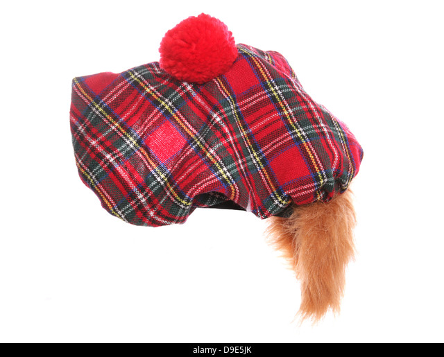 scottish bonnet hat